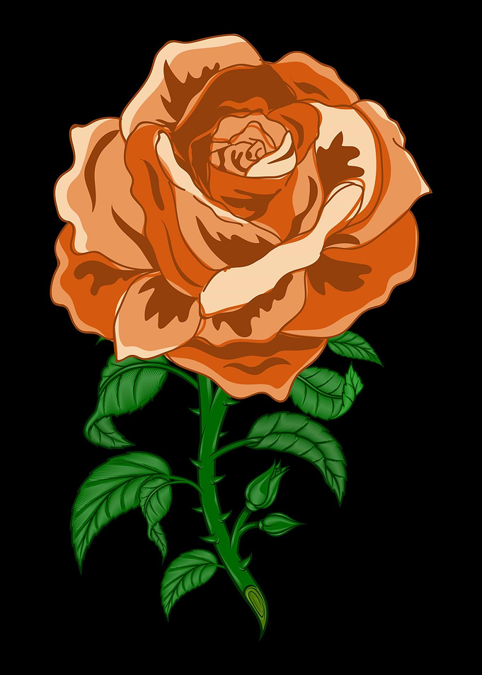 Rose Garden Roses