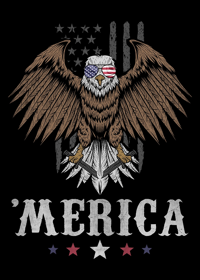 Eagle Merica 4th of July