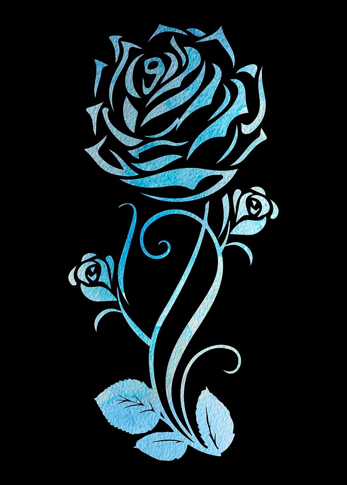 Rose Garden Roses