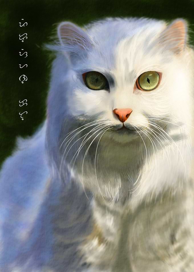 Persian Cat