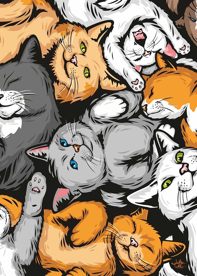 Cute Cats