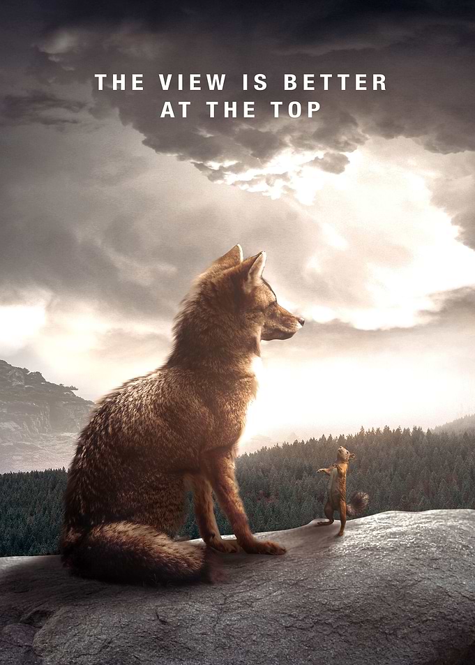 View Better At The Top