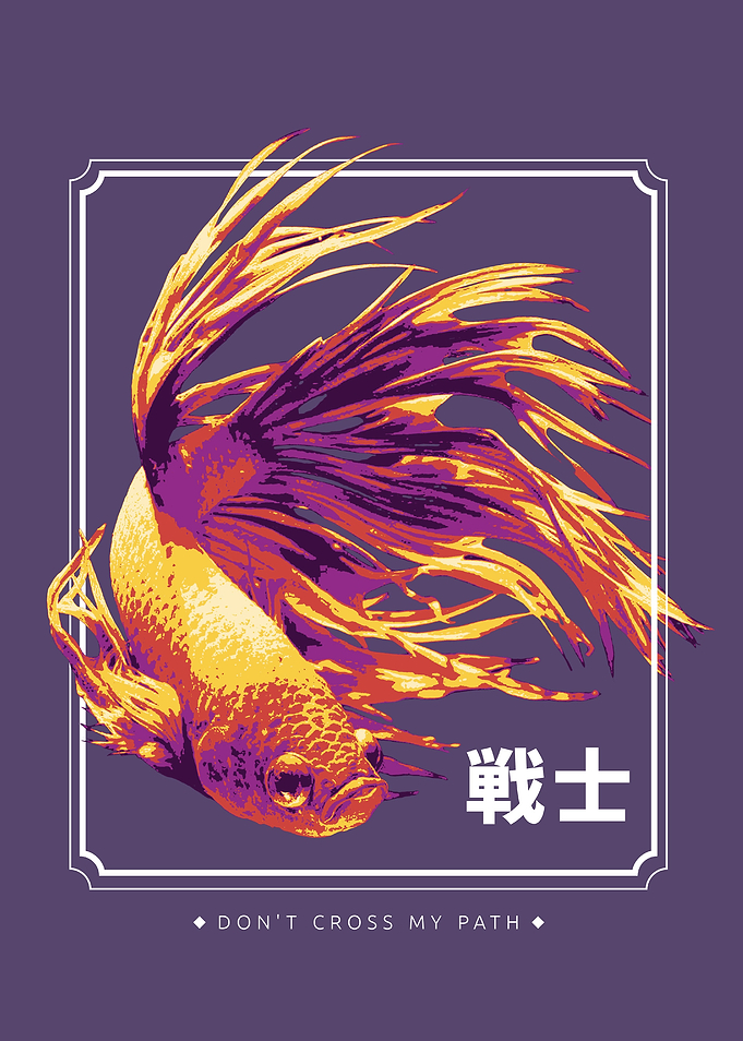 Betta fish sea swimming