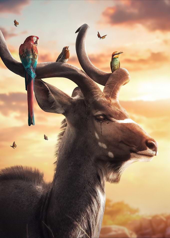 Kudu Gang