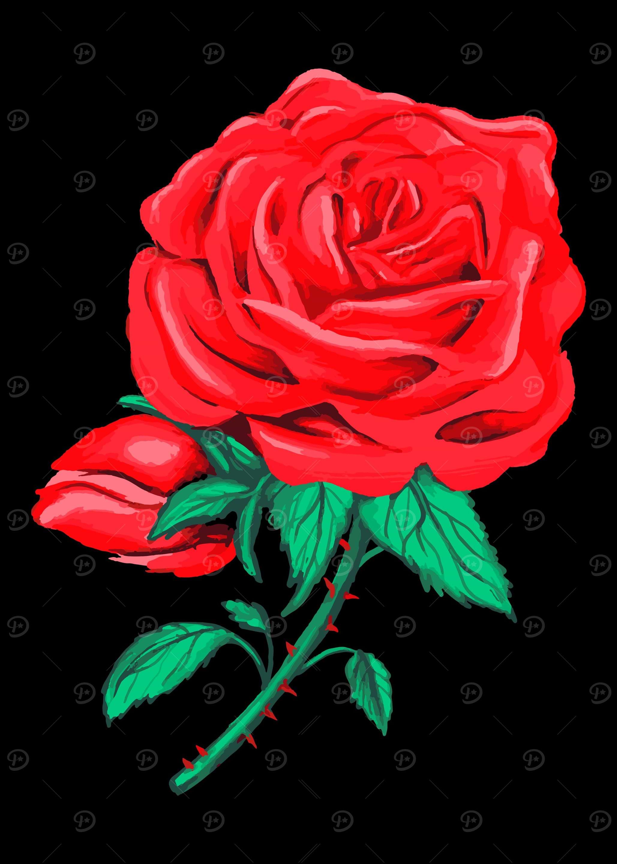 Rose Garden Roses