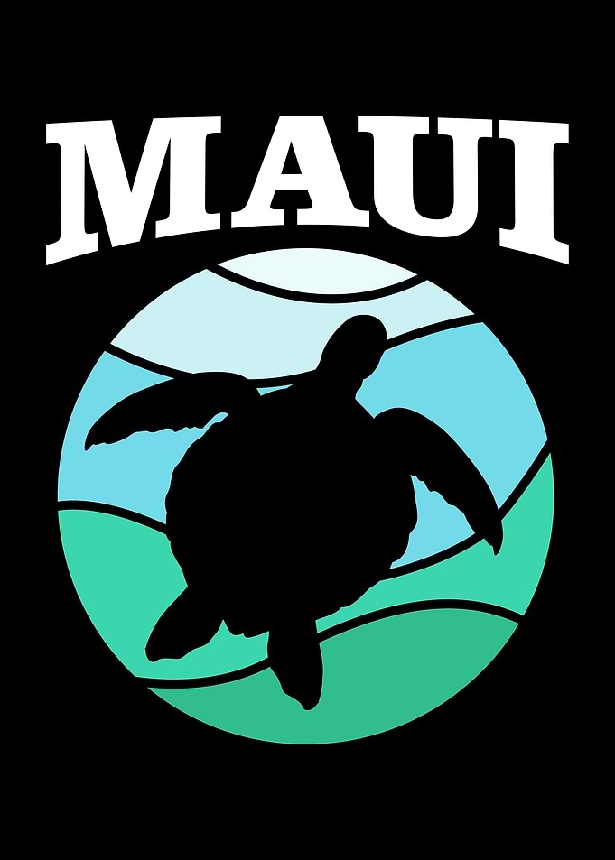 Sea Turtle Maui