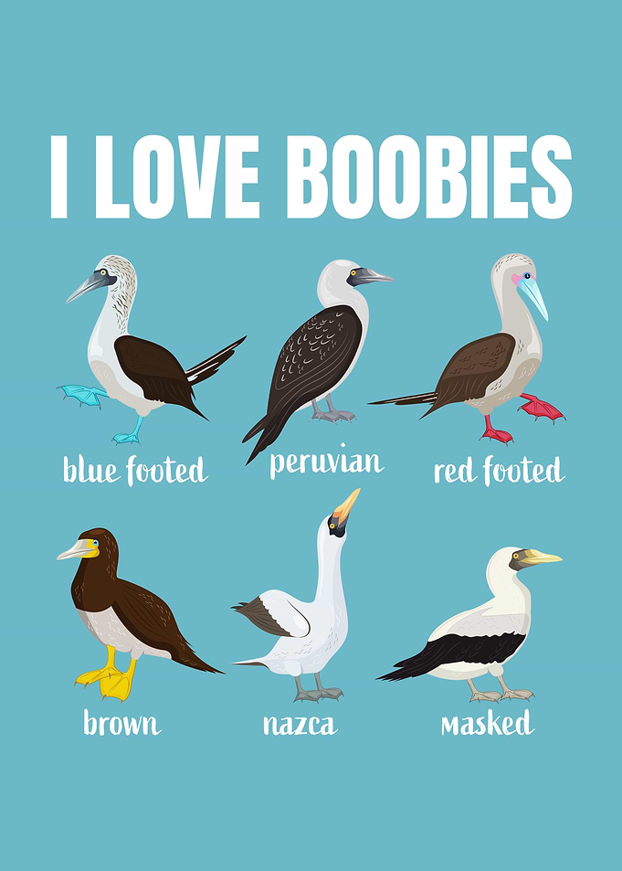 I love Boobies Booby Bids
