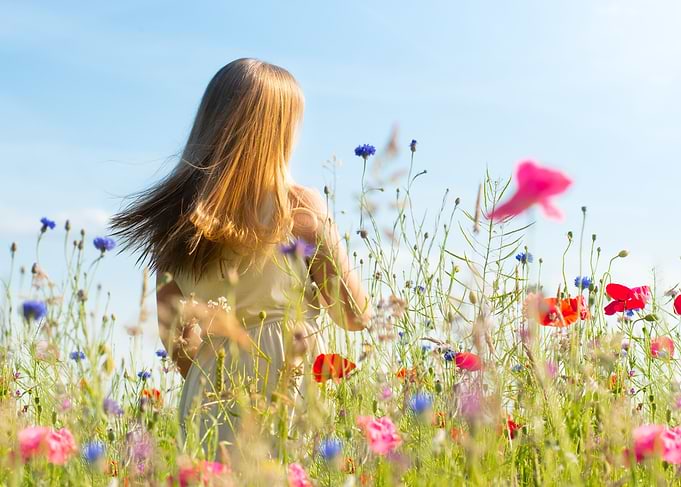 Spring in the Air