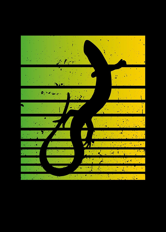 Black Lizard