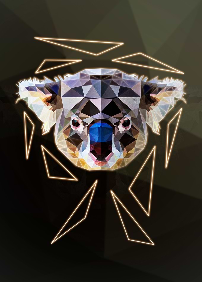 Geometric koala