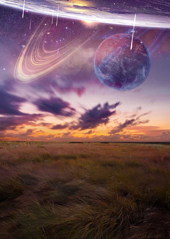 Field of Stars