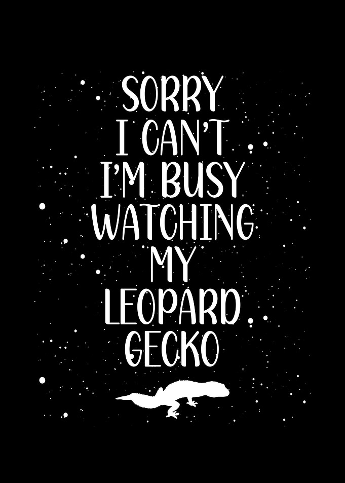 I am busy watch my leopard