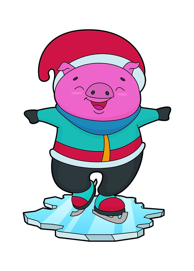 Pig Ice skating Winter