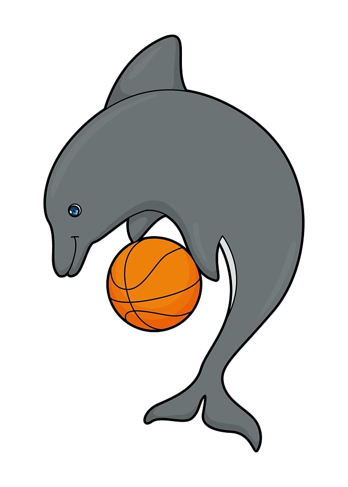 Dolphin Basketball Sports
