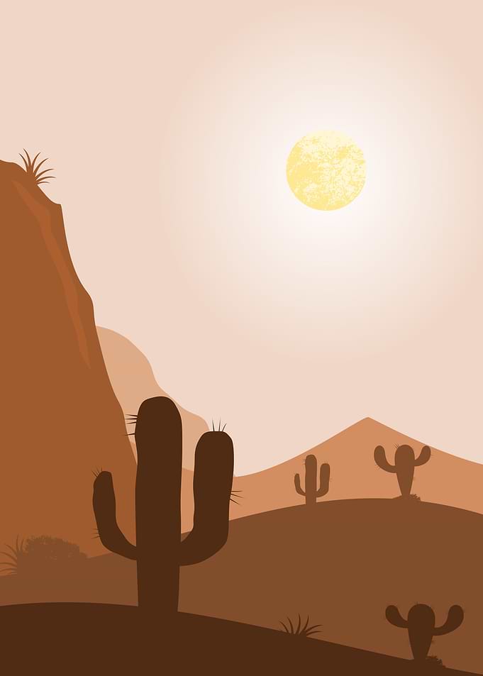Desert sunrise and Cactus