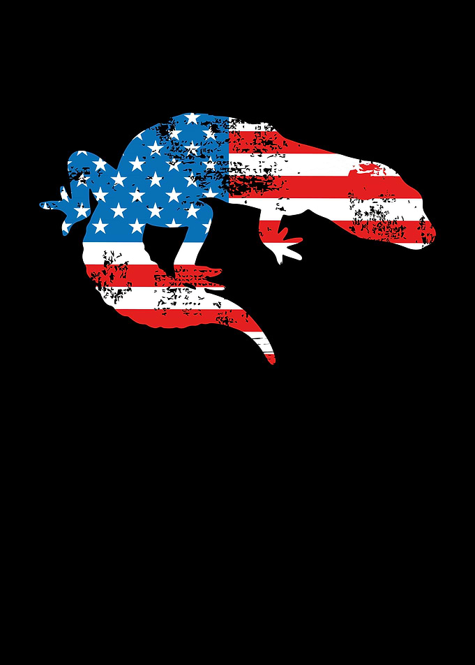 Lizard usa america