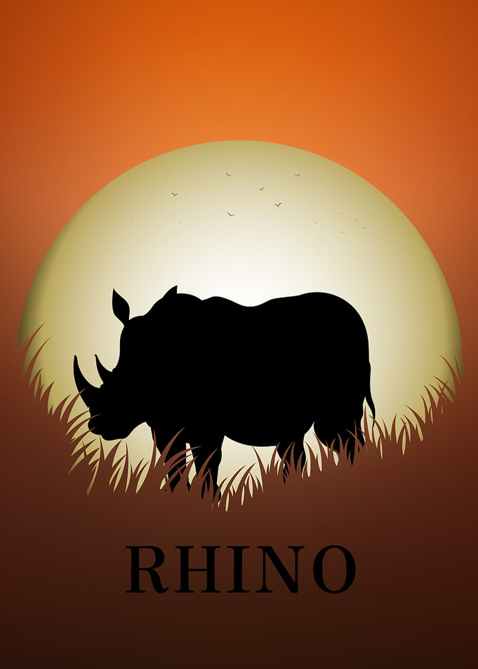 Rhino Animal
