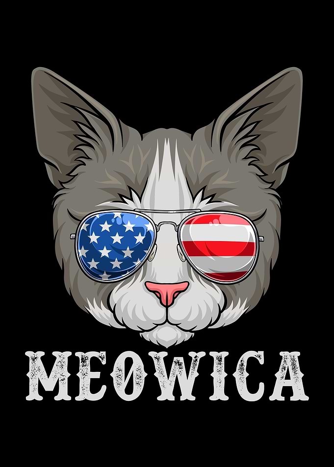 Cat Merica 4th of July