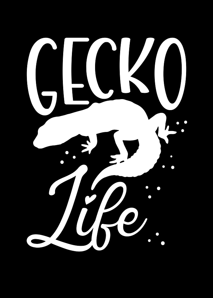 Gecko life