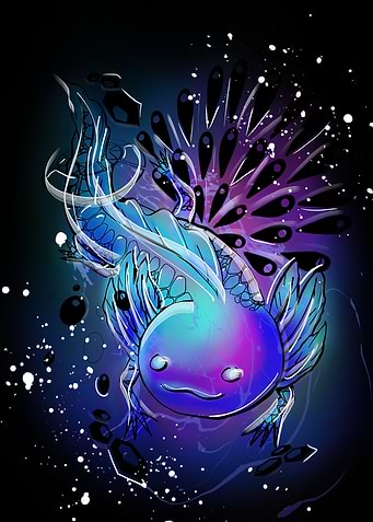 AXOLOTL