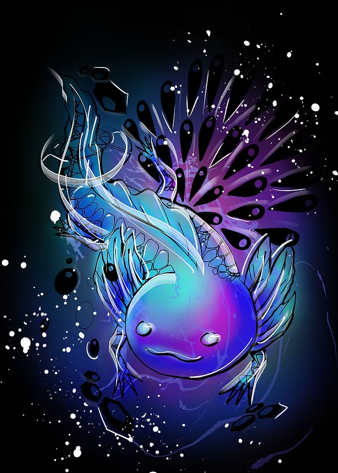 AXOLOTL
