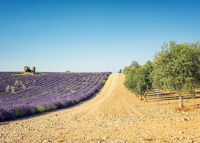 Provence