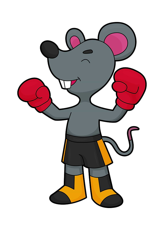 Mouse Boxer Boxing gloves
