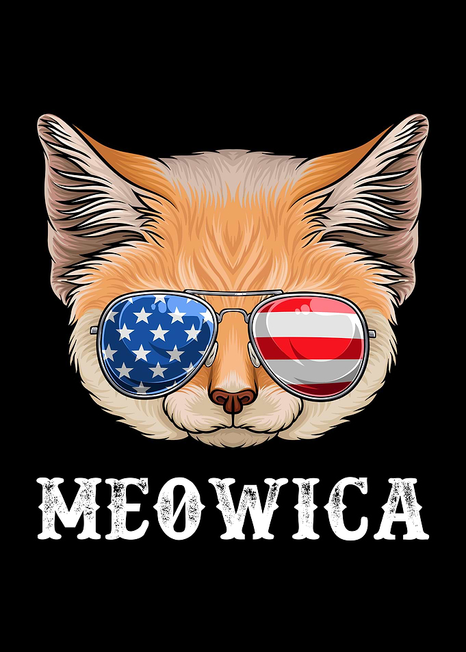 Cat 4th of July