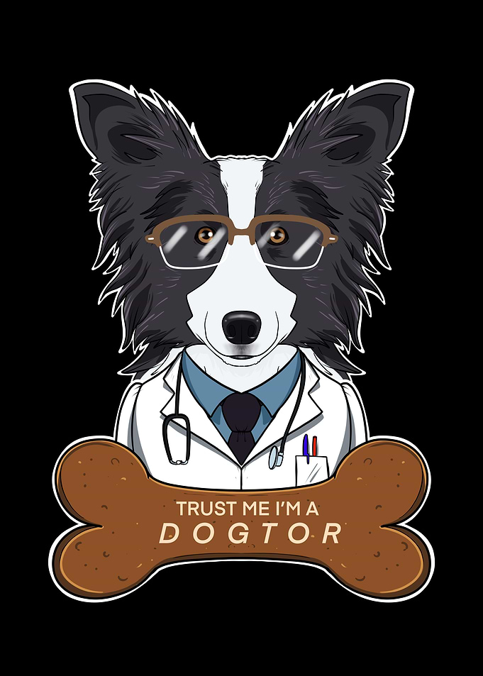 Veterinary Border Collie