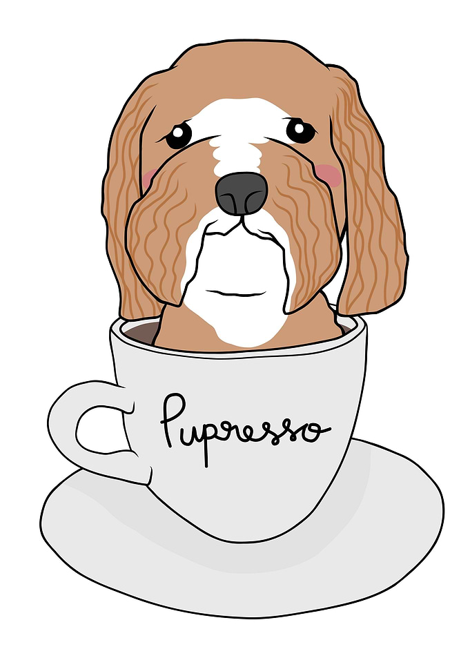 Poodle dog in coffee cup