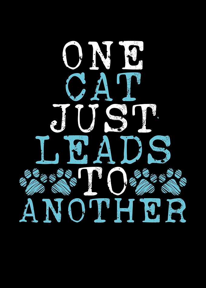 One cat just leads