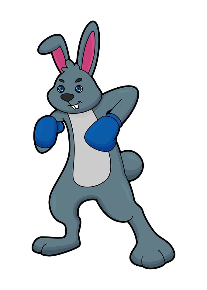 Rabbit Boxer Boxing gloves
