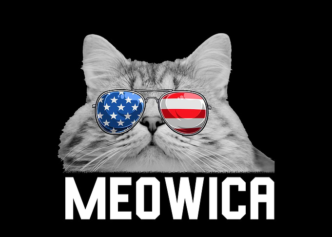 Cat 4th of July USA