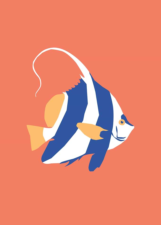 Cute Aquarium Fish animal