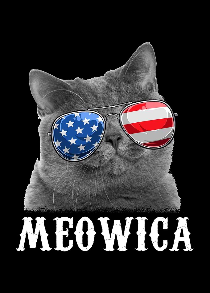 Cat 4th of July Merica USA