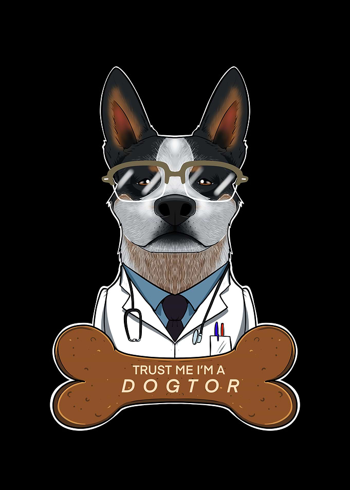 Veterinary Blue Heeler