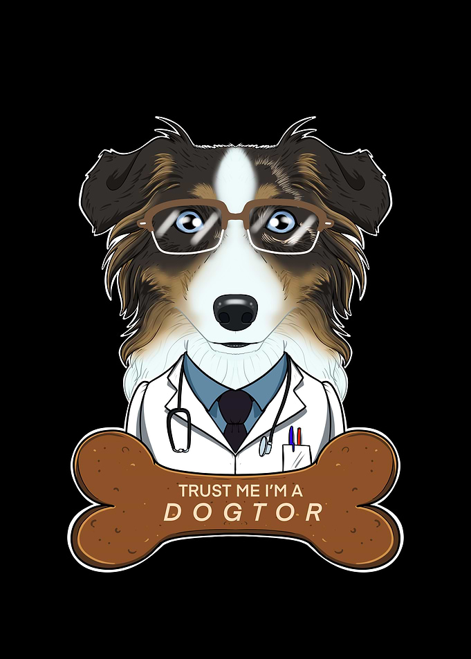 Vet Australian Shepherd