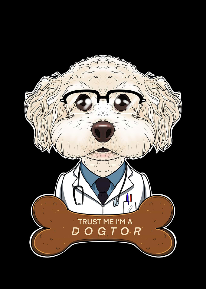 Veterinary Bichon Frise
