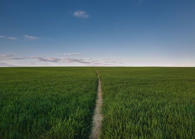 footpath across the field