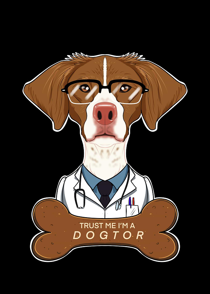 Veterinary Brittany Dogtor