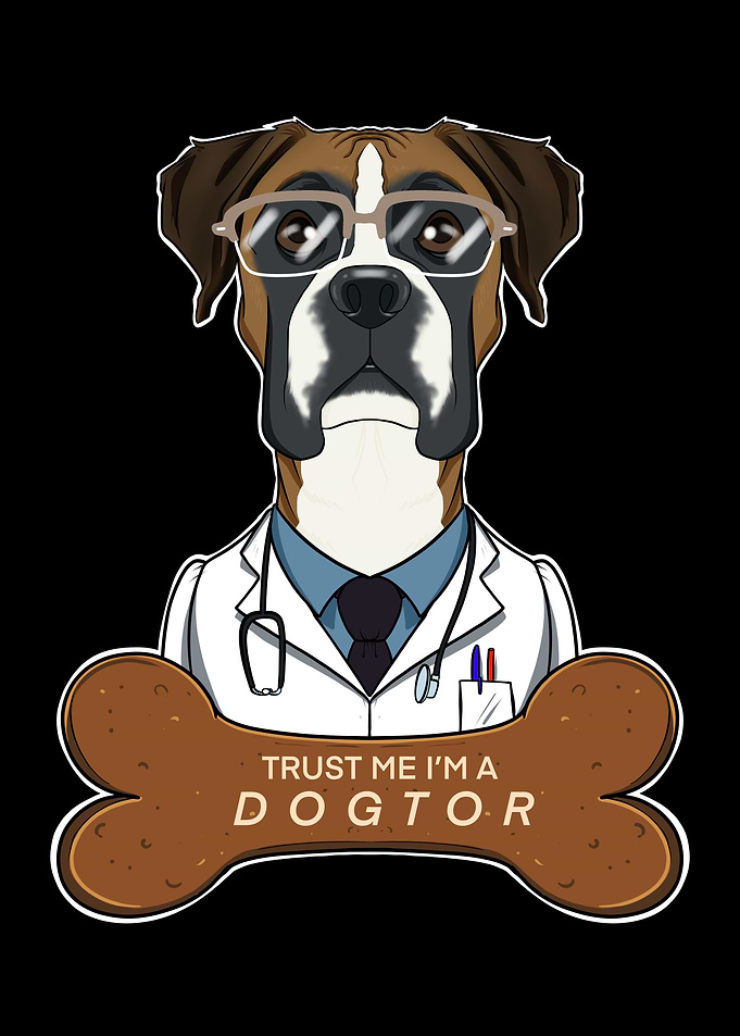 Veterinary Boxer Dogtor