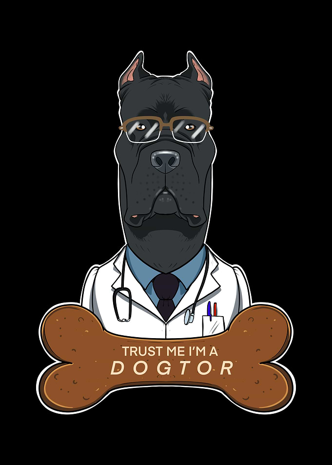 Veterinary Cane Corso