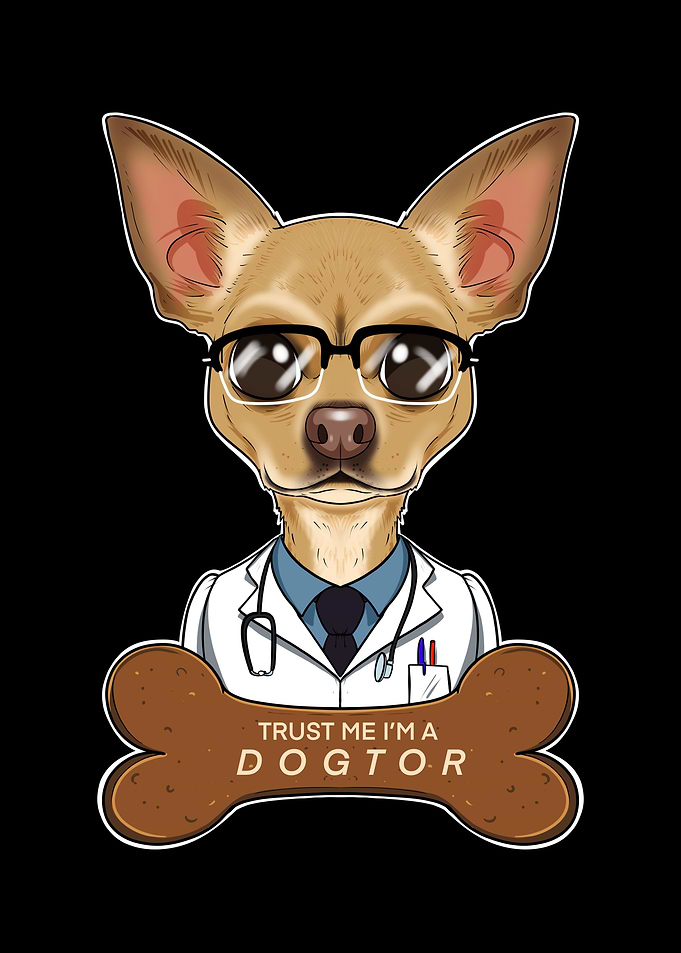 Veterinary Chihuahua