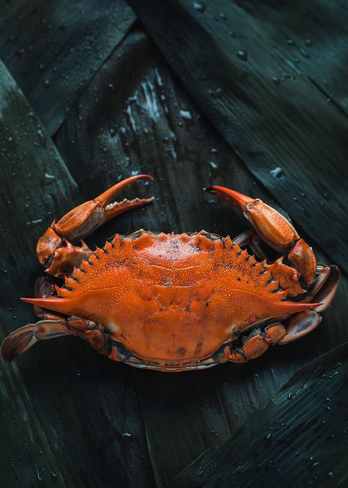 Crab Claws