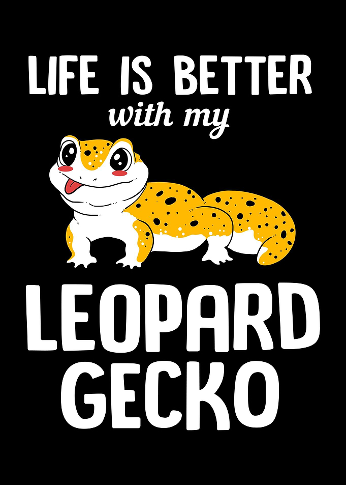 Gecko Animal