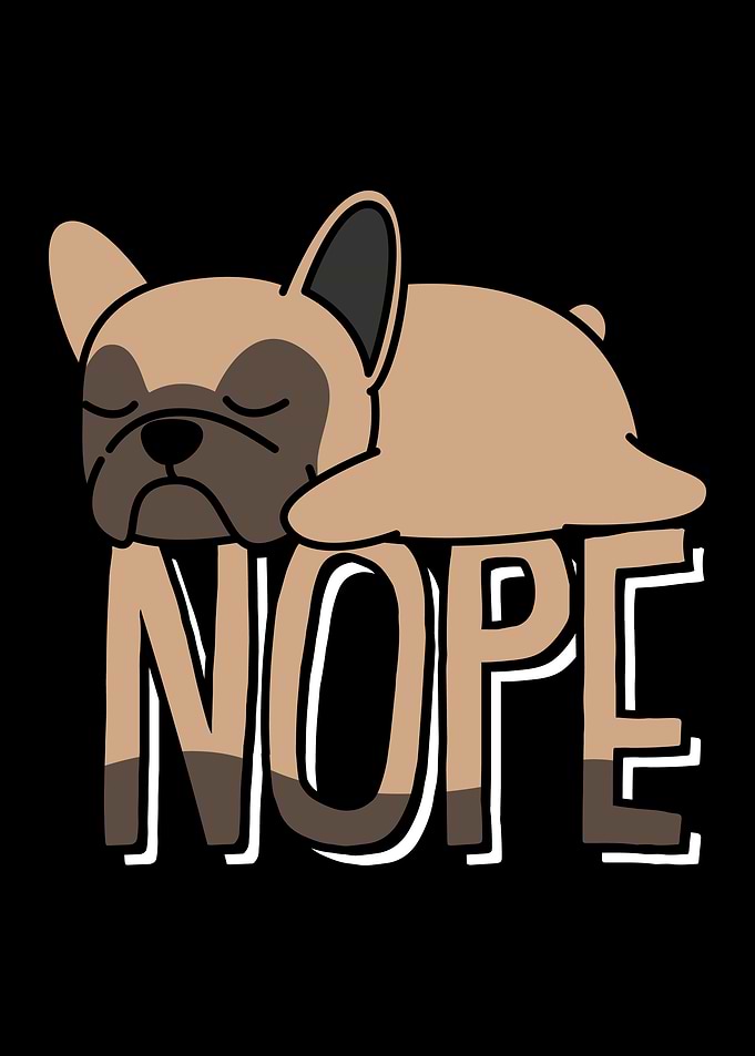 Nope Not Today Lazy Mood