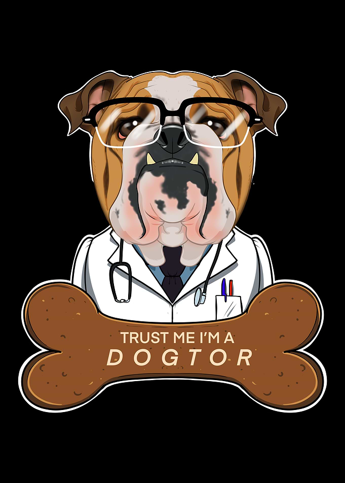 Veterinary English Bulldog