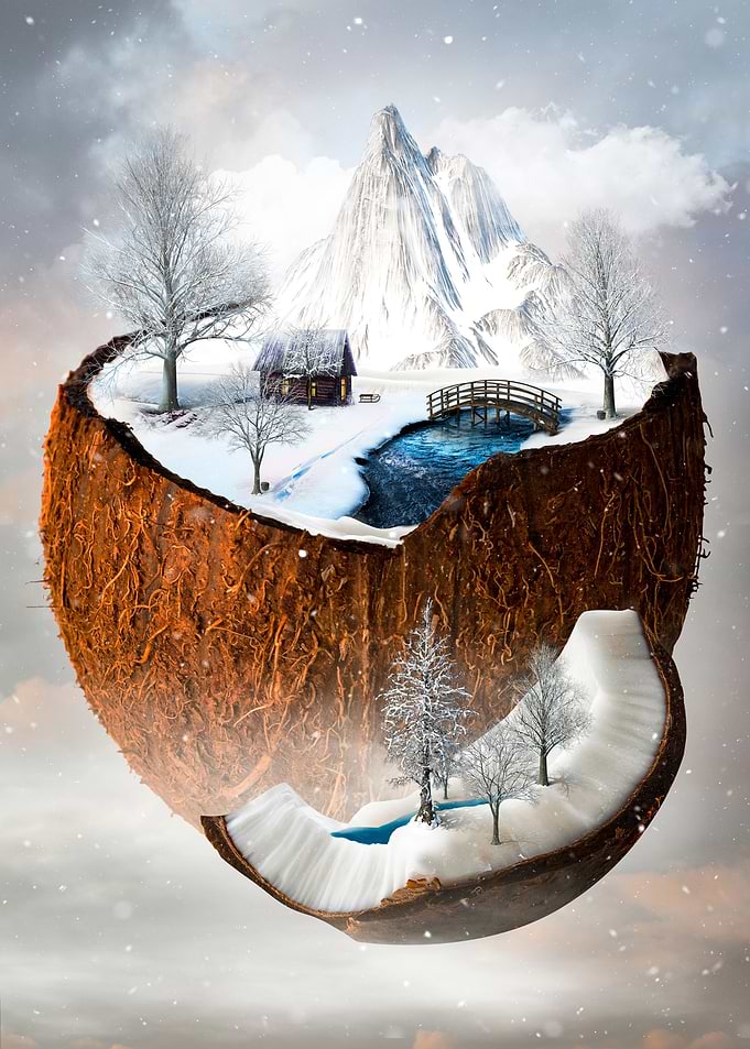 coconut land