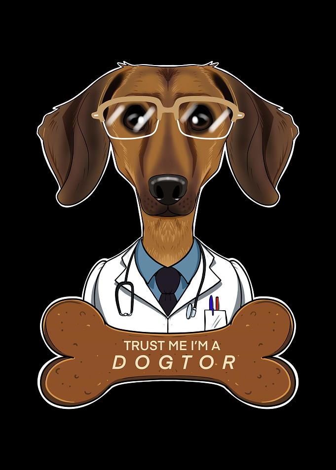 Veterinary Dachshund