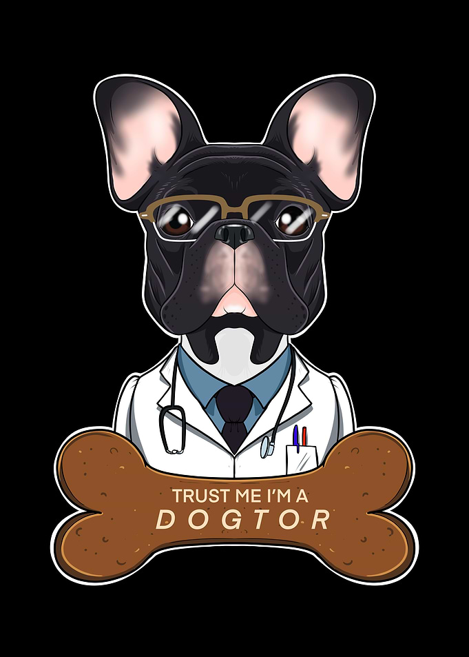 Veterinary French Bulldog